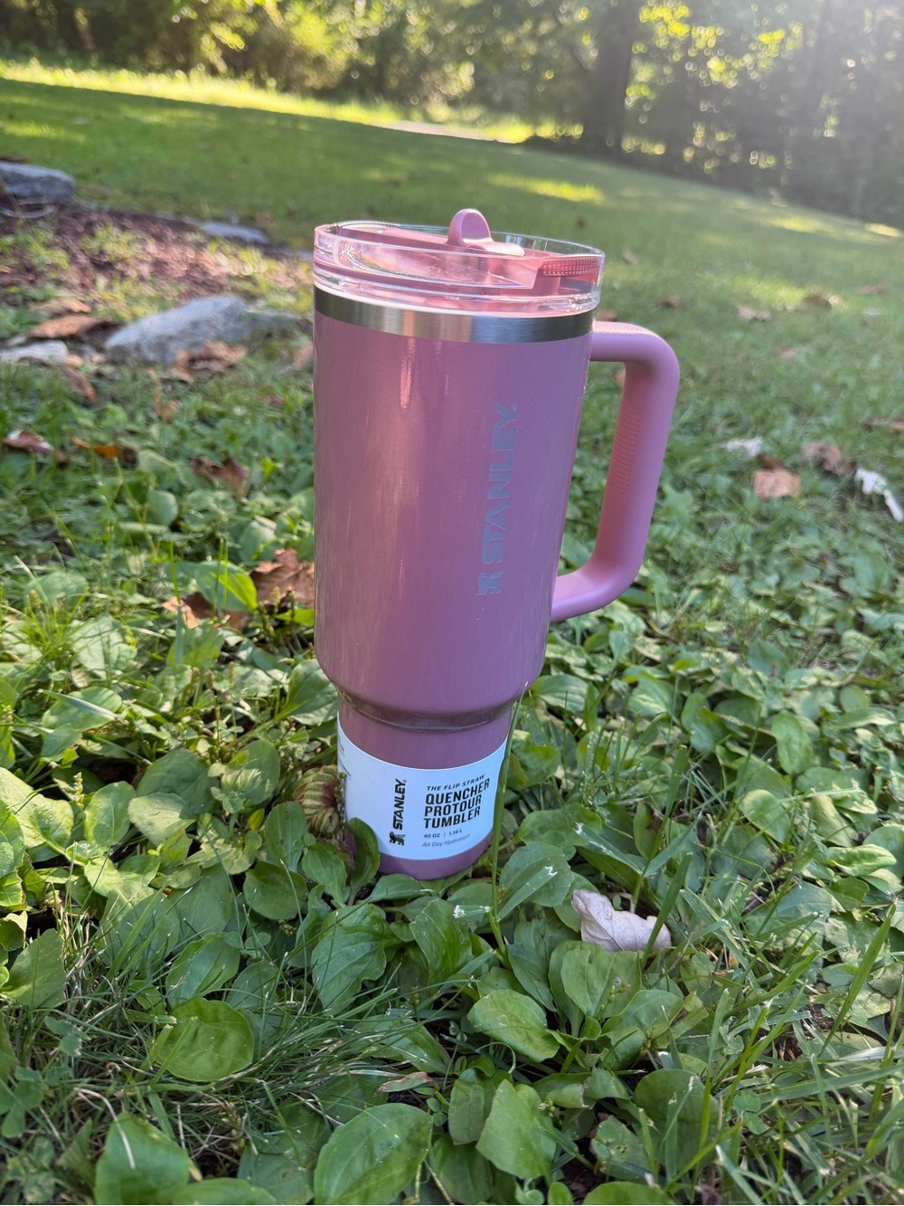 🏷NWT Stanley Holiday Port Shimmer 40oz Quencher ProTour Flip Straw Tumbler